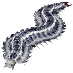 Aberrant Arthropluera