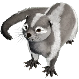 Aberrant Otter