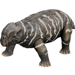 Aberrant Lystrosaurus