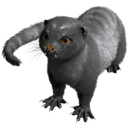 X-Otter