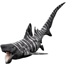 X-Helicoprion