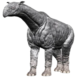 X-Paraceratherium