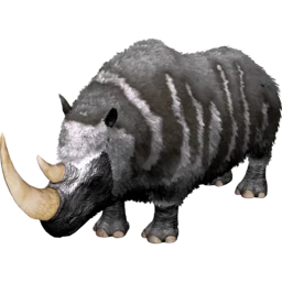 X-Woolly Rhino